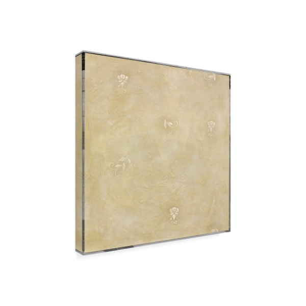 Pablo Esteban 'Beige Abstract Paint' Canvas Art,14x14